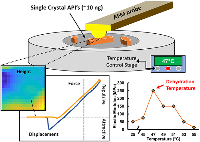 Atomic Force Microscopy to Identify Dehydration Temperatures for Small Volumes of Active Pharmaceutical Ingredients.
